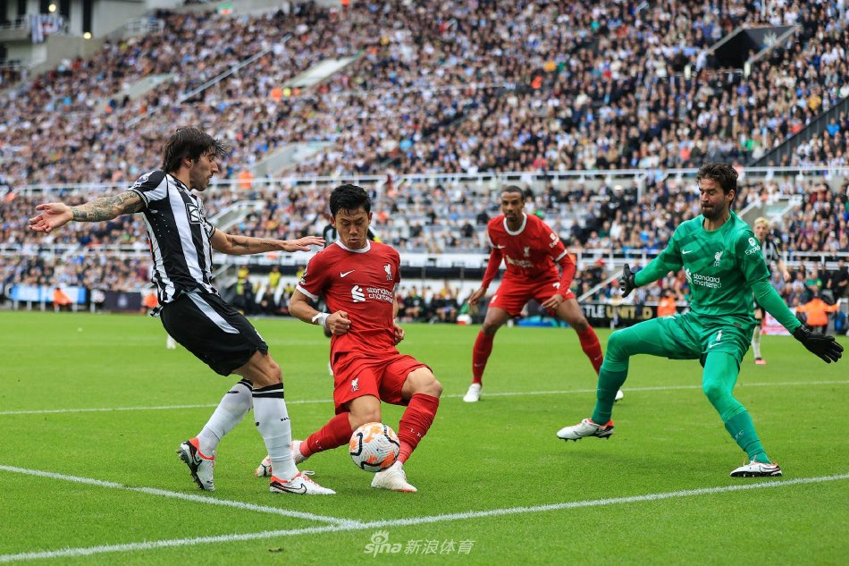 在今年的轮 在今年的轮